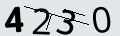 verifycode